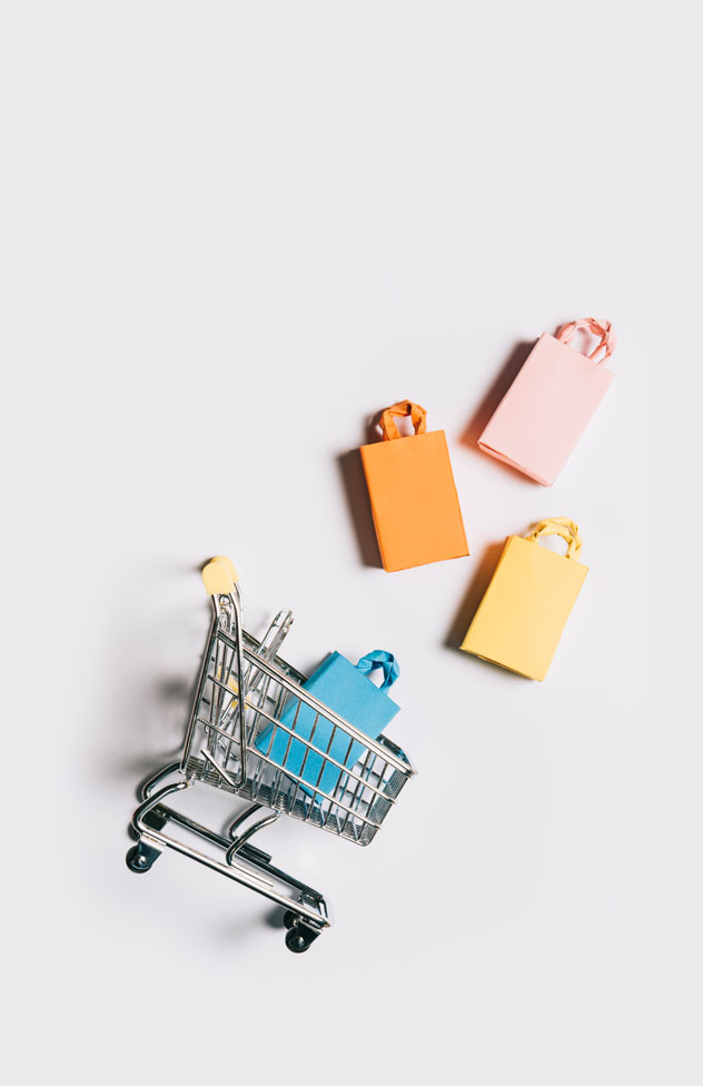 Ecommerce website development
