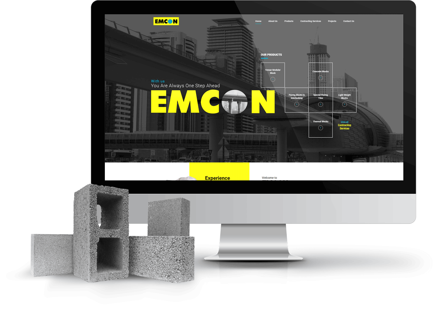 Website development projects