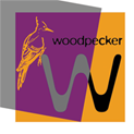 Website development