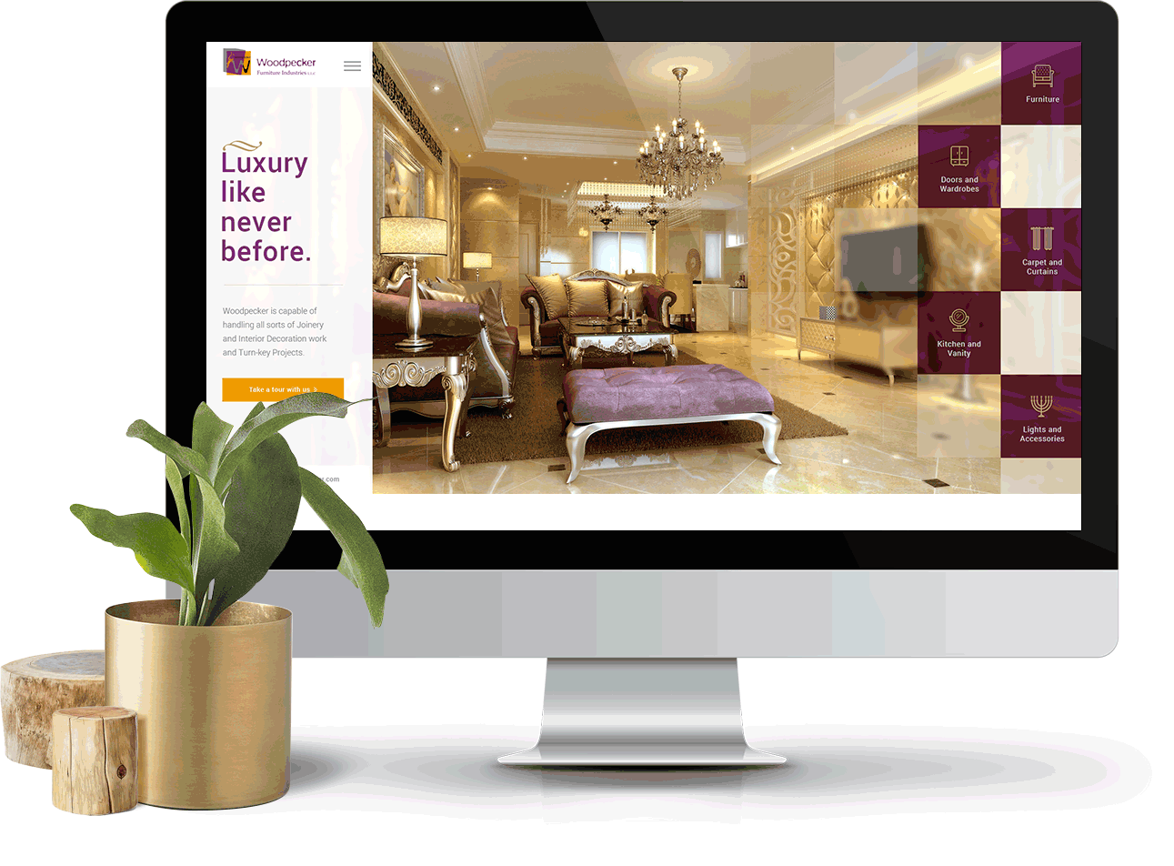 Web development